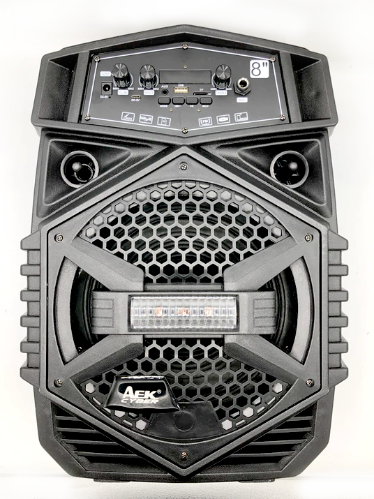 AYOCK S-10805A WIRELESS SPEAKER WITH WIRED MIC