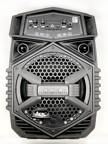 AYOCK S-10805A WIRELESS SPEAKER WITH WIRED MIC